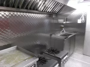 Tandoori Flame - South Asian Food Trucks - 18 ft Step Van